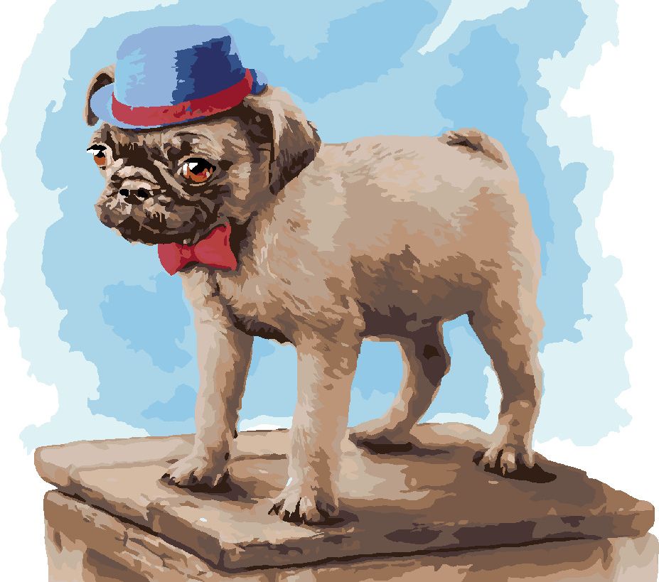 zuty Malování podle čísel - MOPS S ČERVENOU MAŠLÍ A MODROU ČEPICÍ (LARRY HERSBERGER) - Rozměr: 40x50 cm, Rámování: Varianta: vypnuté plátno na rám - obrázek 10
