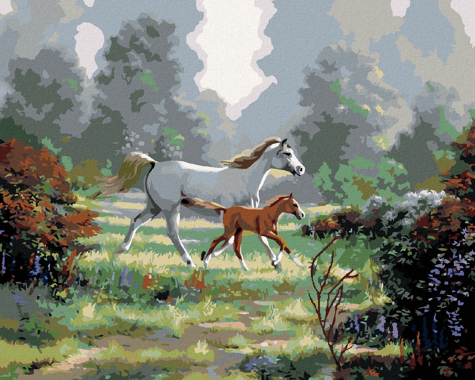 zuty Malování podle čísel - KOBYLA S HŘÍBĚTEM NA PASTVĚ (NORTHERN PROMOTIONS) - Rozměr: 40x50 cm, Rámování: Varianta: vypnuté plátno na rám - obrázek 1