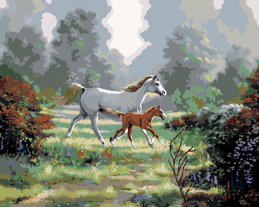 zuty Malování podle čísel - KOBYLA S HŘÍBĚTEM NA PASTVĚ (NORTHERN PROMOTIONS) - Rozměr: 40x50 cm, Rámování: Varianta: vypnuté plátno na rám - obrázek 2