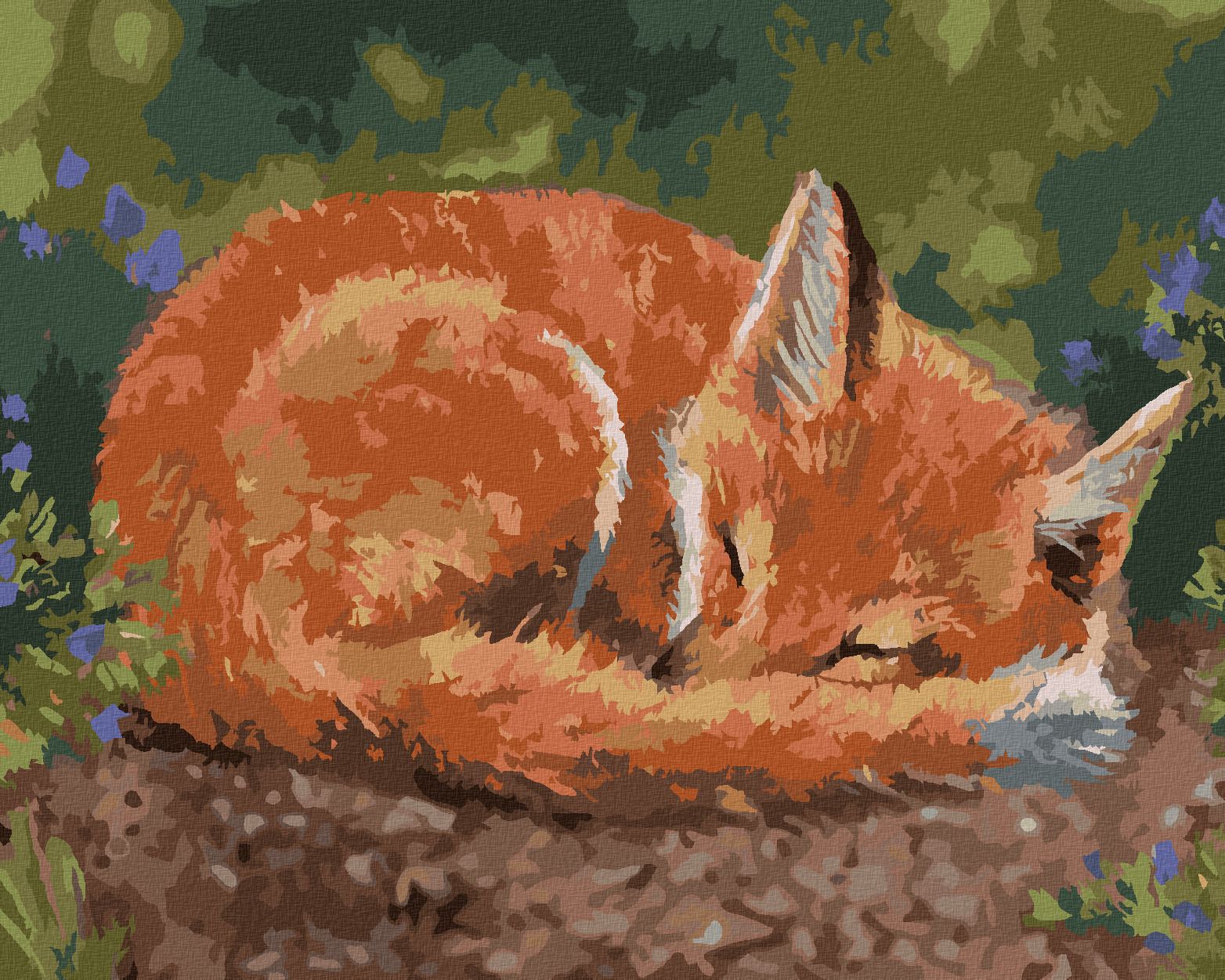 zuty Malování podle čísel – SPÍCÍ LIŠKA (VICTORIA SCHULTZ) - Rozměr: 40x50 cm, Rámování: Varianta: bez rámu a bez vypnutí plátna - obrázek 1