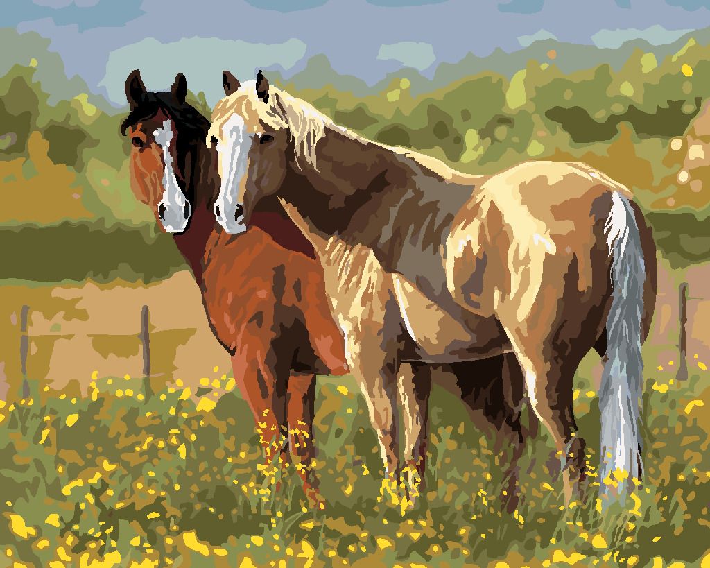 zuty Malování podle čísel – KONĚ V KVÍTÍ (VICTORIA SCHULTZ) - Rozměr: 40x50 cm, Rámování: Varianta: vypnuté plátno na rám - obrázek 2