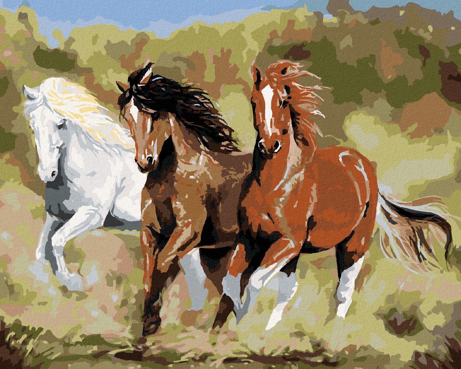 zuty Malování podle čísel – KONĚ V BĚHU (VICTORIA SCHULTZ) - Rozměr: 40x50 cm, Rámování: Varianta: bez rámu a bez vypnutí plátna - obrázek 1