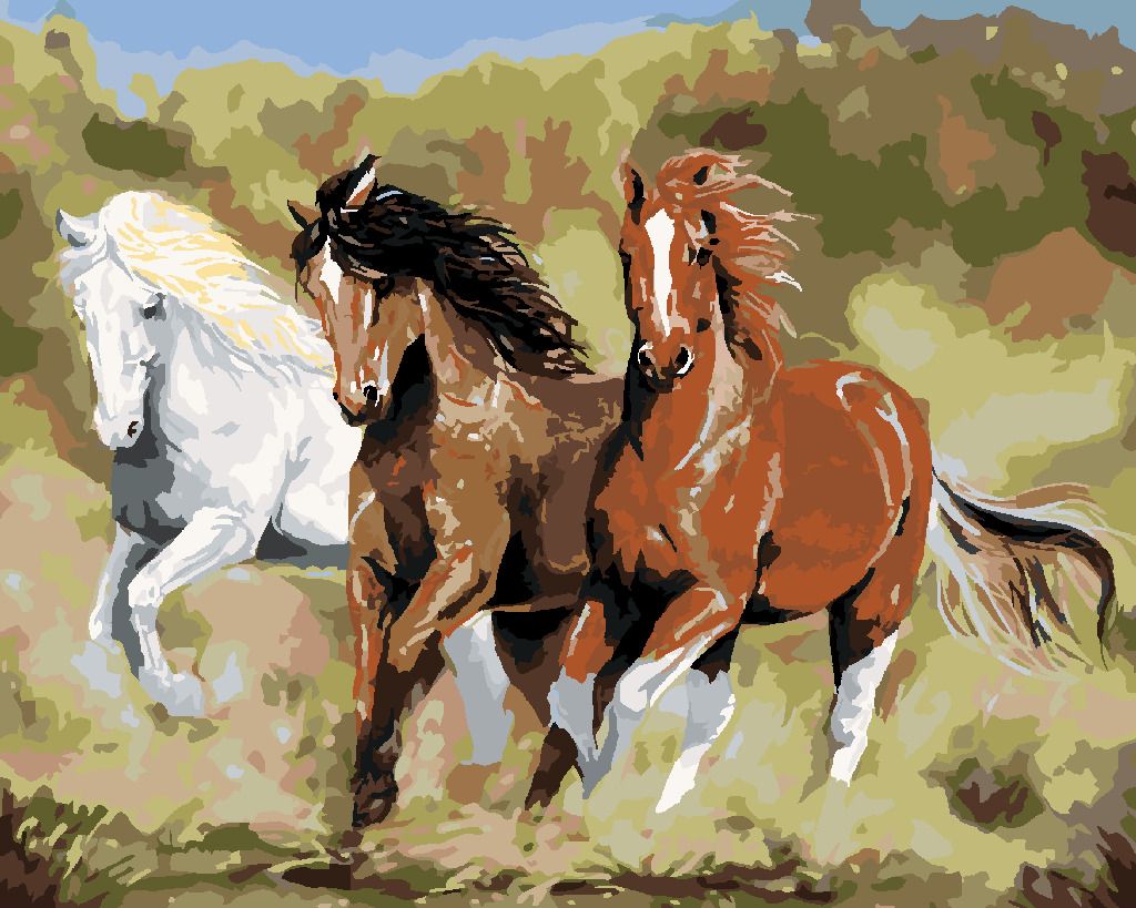 zuty Malování podle čísel – KONĚ V BĚHU (VICTORIA SCHULTZ) - Rozměr: 40x50 cm, Rámování: Varianta: bez rámu a bez vypnutí plátna - obrázek 9