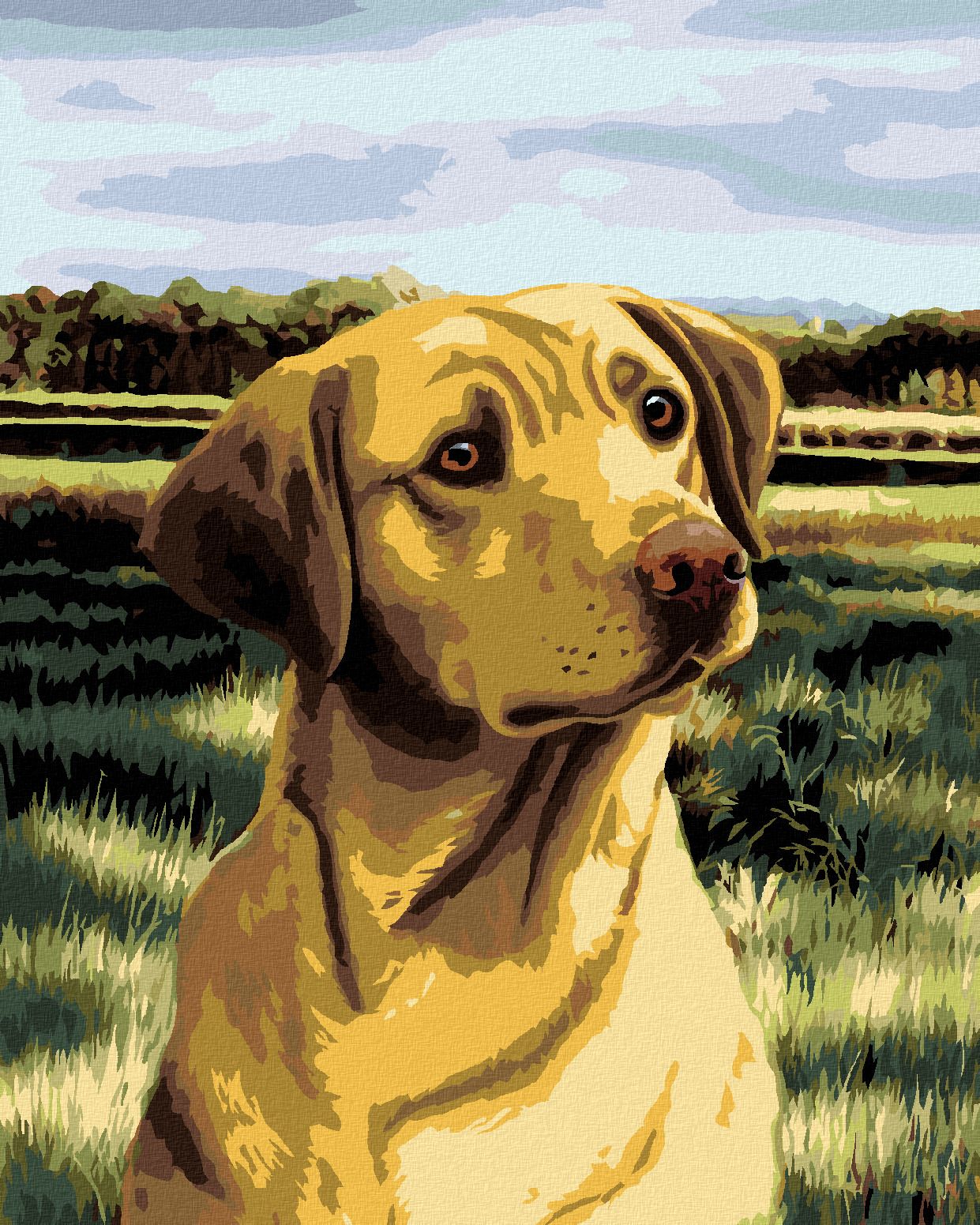 zuty Malování podle čísel – LABRADOR V POLI (NORTHERN PROMOTIONS) - Rozměr: 40x50 cm, Rámování: Varianta: vypnuté plátno na rám - obrázek 1