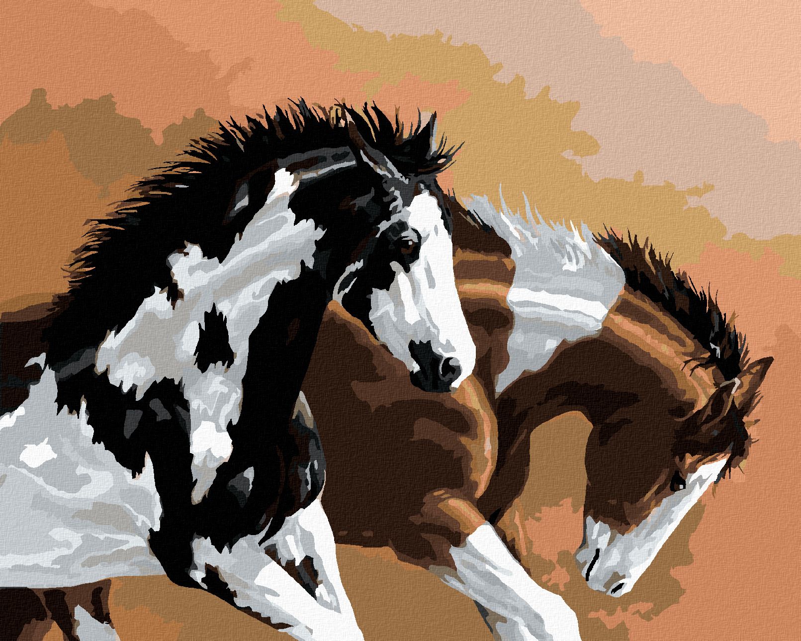 zuty Malování podle čísel – STRAKATÍ KONĚ (VICTORIA SCHULTZ) - Rozměr: 40x50 cm, Rámování: Varianta: bez rámu a bez vypnutí plátna - obrázek 1