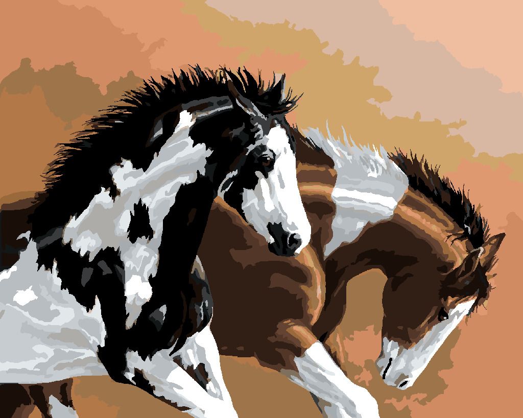 zuty Malování podle čísel – STRAKATÍ KONĚ (VICTORIA SCHULTZ) - Rozměr: 40x50 cm, Rámování: Varianta: vypnuté plátno na rám - obrázek 9