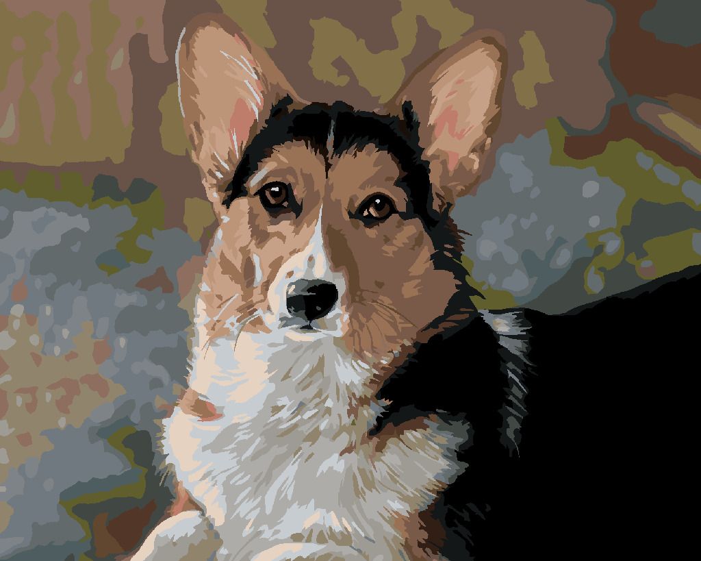 zuty Malování podle čísel – WELSH CORGI PEMBROKE (VICTORIA SCHULTZ) - Rozměr: 40x50 cm, Rámování: Varianta: vypnuté plátno na rám - obrázek 8