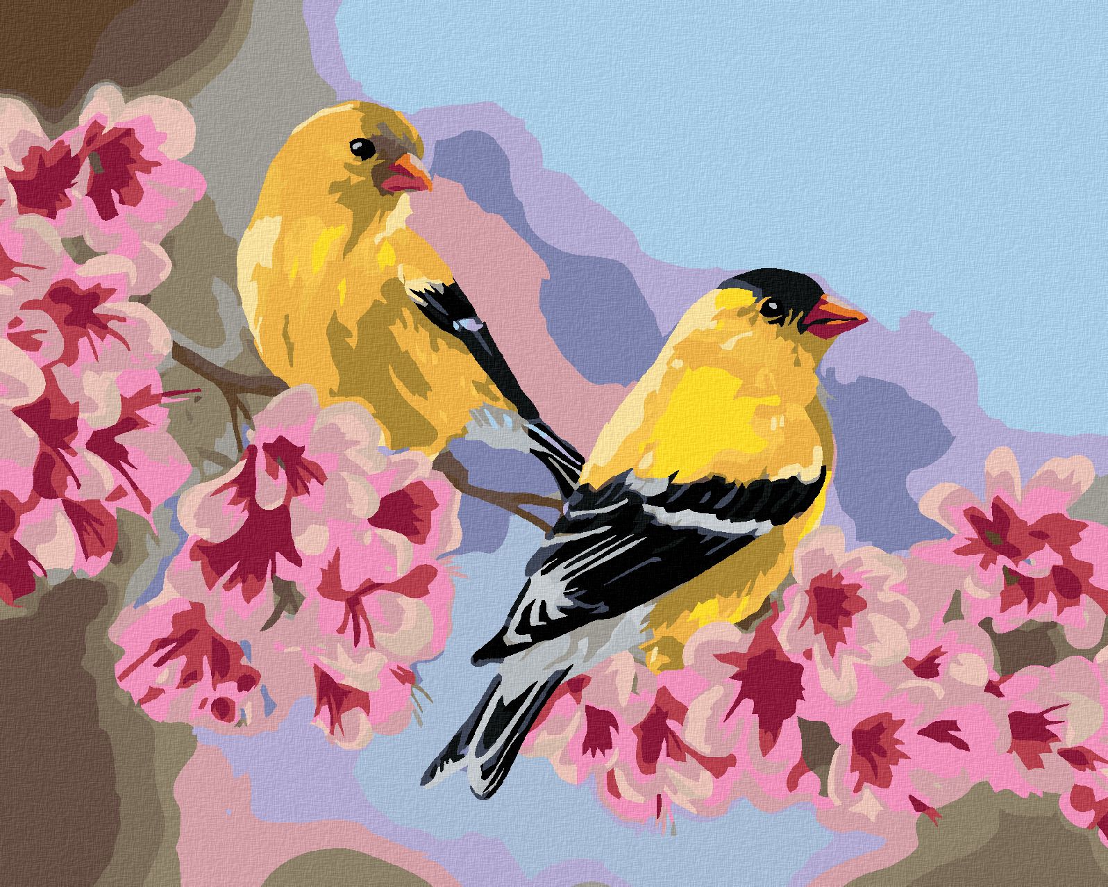 zuty Malování podle čísel – PTÁK STEHLÍK NA VĚTVI S RŮŽOVÝMI KVĚTY (VICTORIA SCHULTZ) - Rozměr: 40x50 cm, Rámování: Varianta: vypnuté plátno na rám - obrázek 1