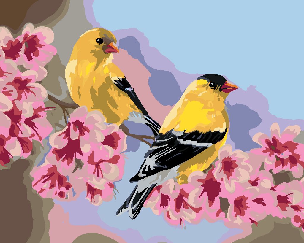 zuty Malování podle čísel – PTÁK STEHLÍK NA VĚTVI S RŮŽOVÝMI KVĚTY (VICTORIA SCHULTZ) - Rozměr: 40x50 cm, Rámování: Varianta: vypnuté plátno na rám - obrázek 9