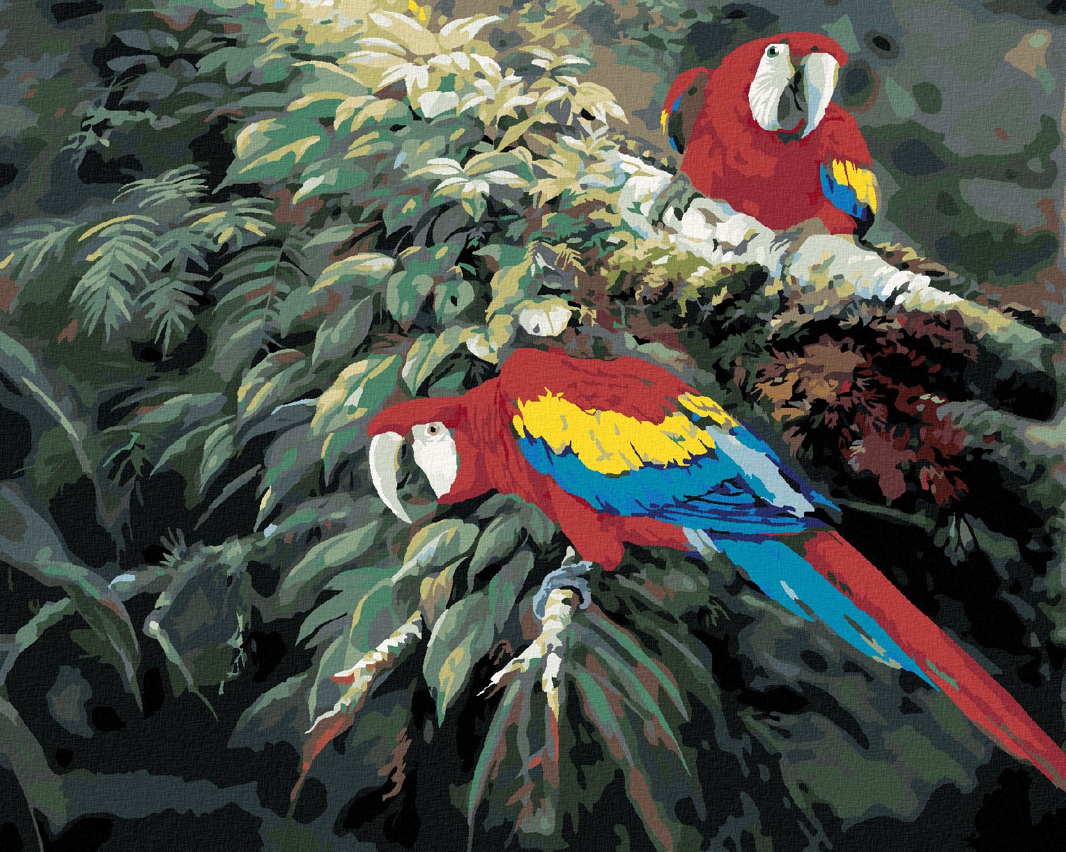 zuty Malování podle čísel – PÁR PAPOUŠKŮ ARA ARAKANGA NA VĚTVI (NORTHERN PROMOTIONS) - Rozměr: 40x50 cm, Rámování: Varianta: bez rámu a bez vypnutí plátna - obrázek 1
