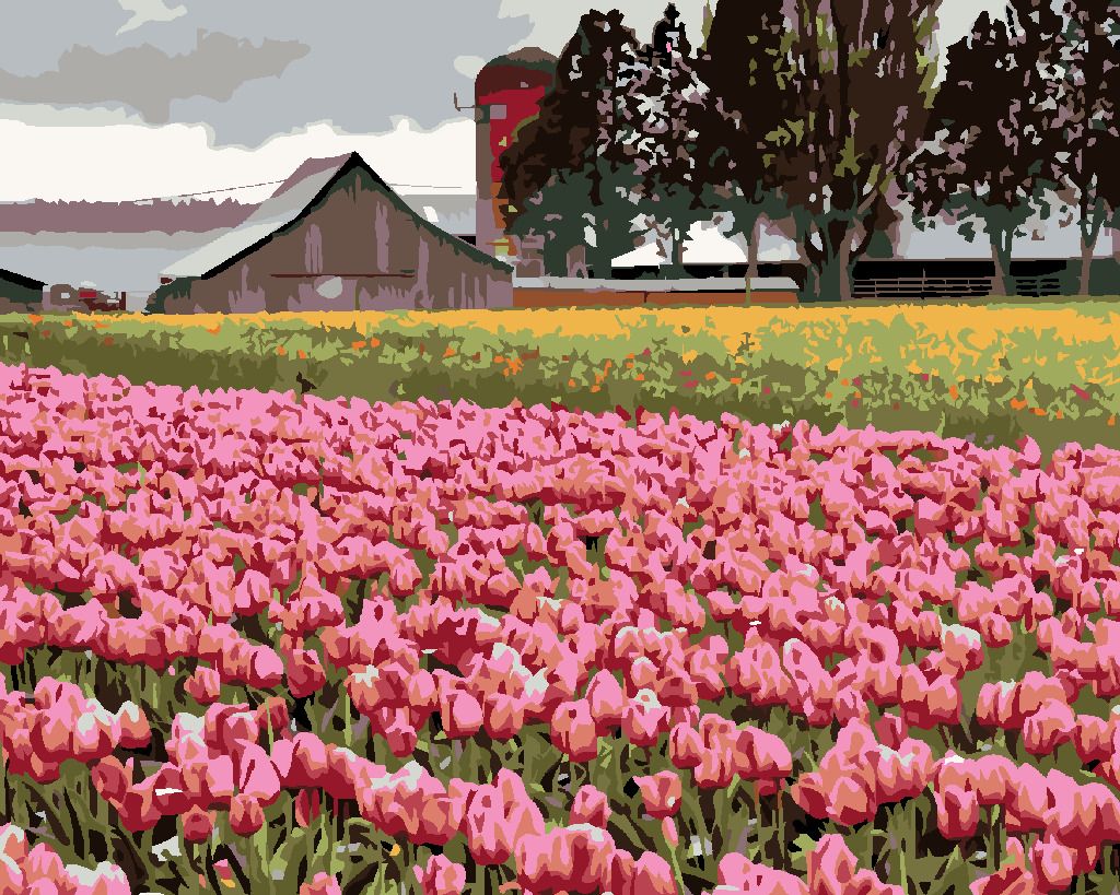 zuty Malování podle čísel - RŮŽOVÉ TULIPÁNY NA LOUCE (DENNIS FRATES) - Rozměr: 40x50 cm, Rámování: Varianta: vypnuté plátno na rám - obrázek 10