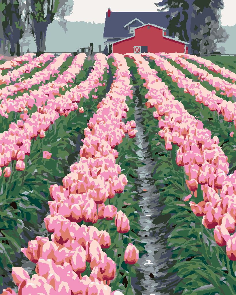 zuty Malování podle čísel - RŮŽOVÉ TULIPÁNY U STODOLY (DENNIS FRATES) - Rozměr: 40x50 cm, Rámování: Varianta: vypnuté plátno na rám - obrázek 3