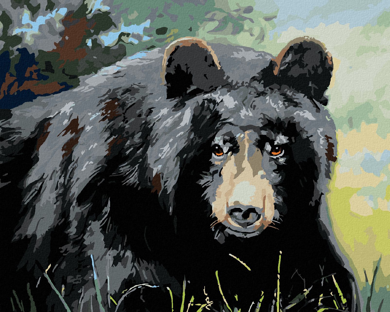 zuty Malování podle čísel - MEDVĚD POHLED DO OČÍ (D. RUSTY RUST) - Rozměr: 40x50 cm, Rámování: Varianta: vypnuté plátno na rám - obrázek 1