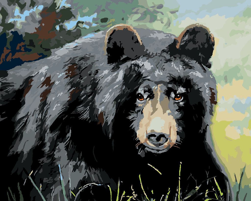 zuty Malování podle čísel - MEDVĚD POHLED DO OČÍ (D. RUSTY RUST) - Rozměr: 40x50 cm, Rámování: Varianta: vypnuté plátno na rám - obrázek 5