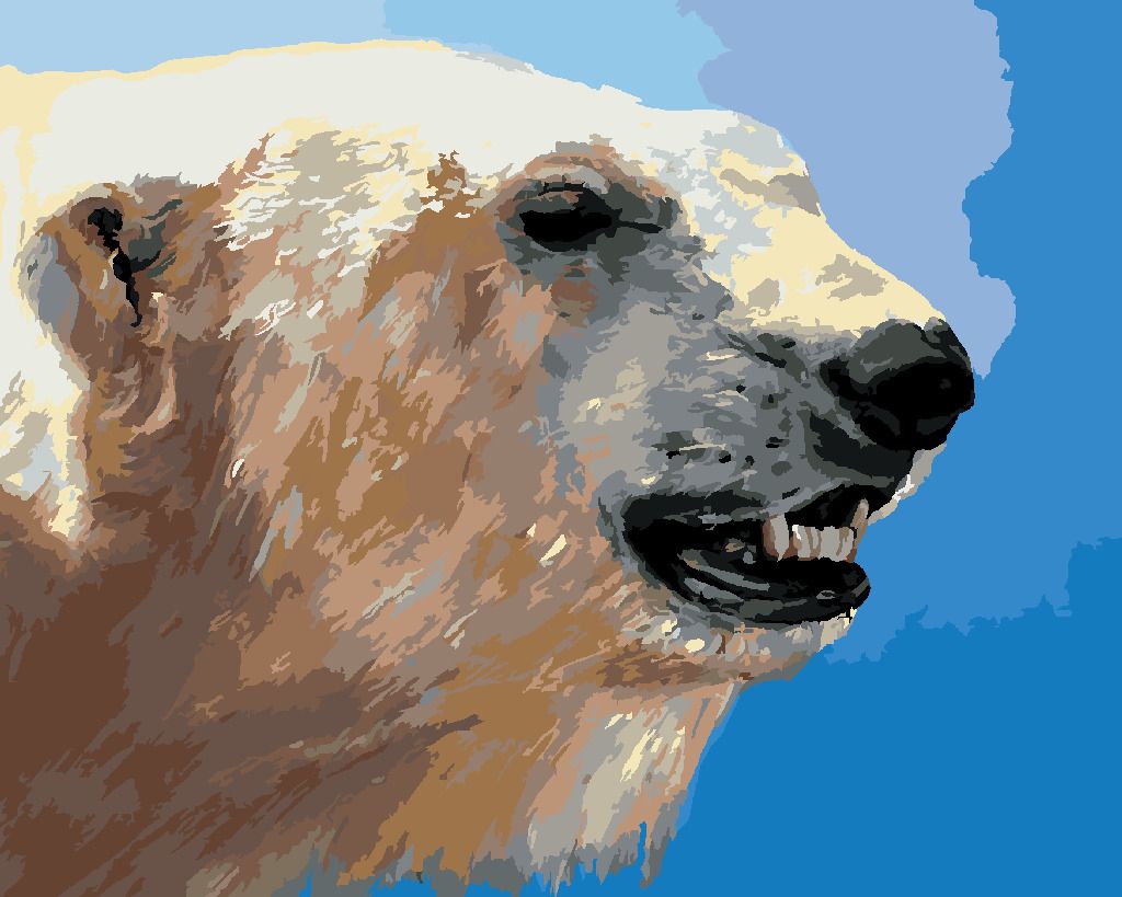 zuty Malování podle čísel - PORTRÉT LEDNÍ MEDVĚD (D. RUSTY RUST) - Rozměr: 40x50 cm, Rámování: Varianta: vypnuté plátno na rám - obrázek 10