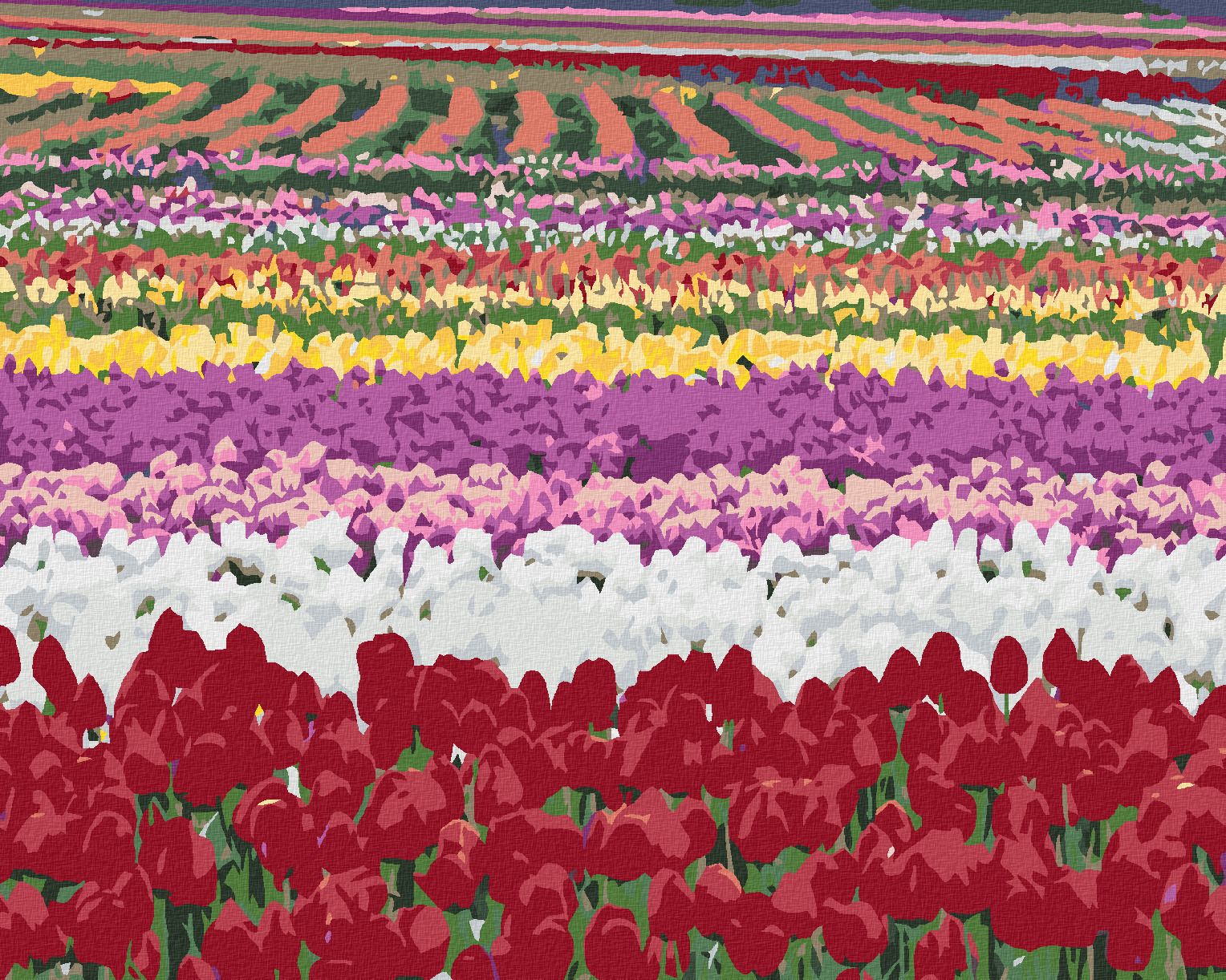 zuty Malování podle čísel - POLE TULIPÁNŮ (DENNIS FRATES) - Rozměr: 40x50 cm, Rámování: Varianta: bez rámu a bez vypnutí plátna - obrázek 1