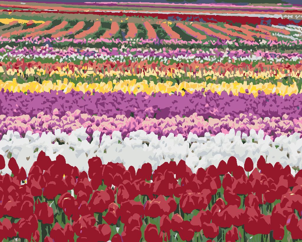 zuty Malování podle čísel - POLE TULIPÁNŮ (DENNIS FRATES) - Rozměr: 40x50 cm, Rámování: Varianta: vypnuté plátno na rám - obrázek 3