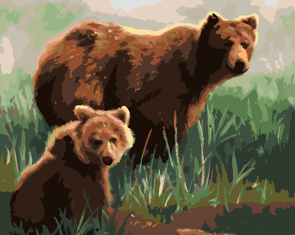 zuty Malování podle čísel - MEDVĚD S MLÁDĚTEM V TRÁVĚ (D. RUSTY RUST) - Rozměr: 40x50 cm, Rámování: Varianta: vypnuté plátno na rám - obrázek 2