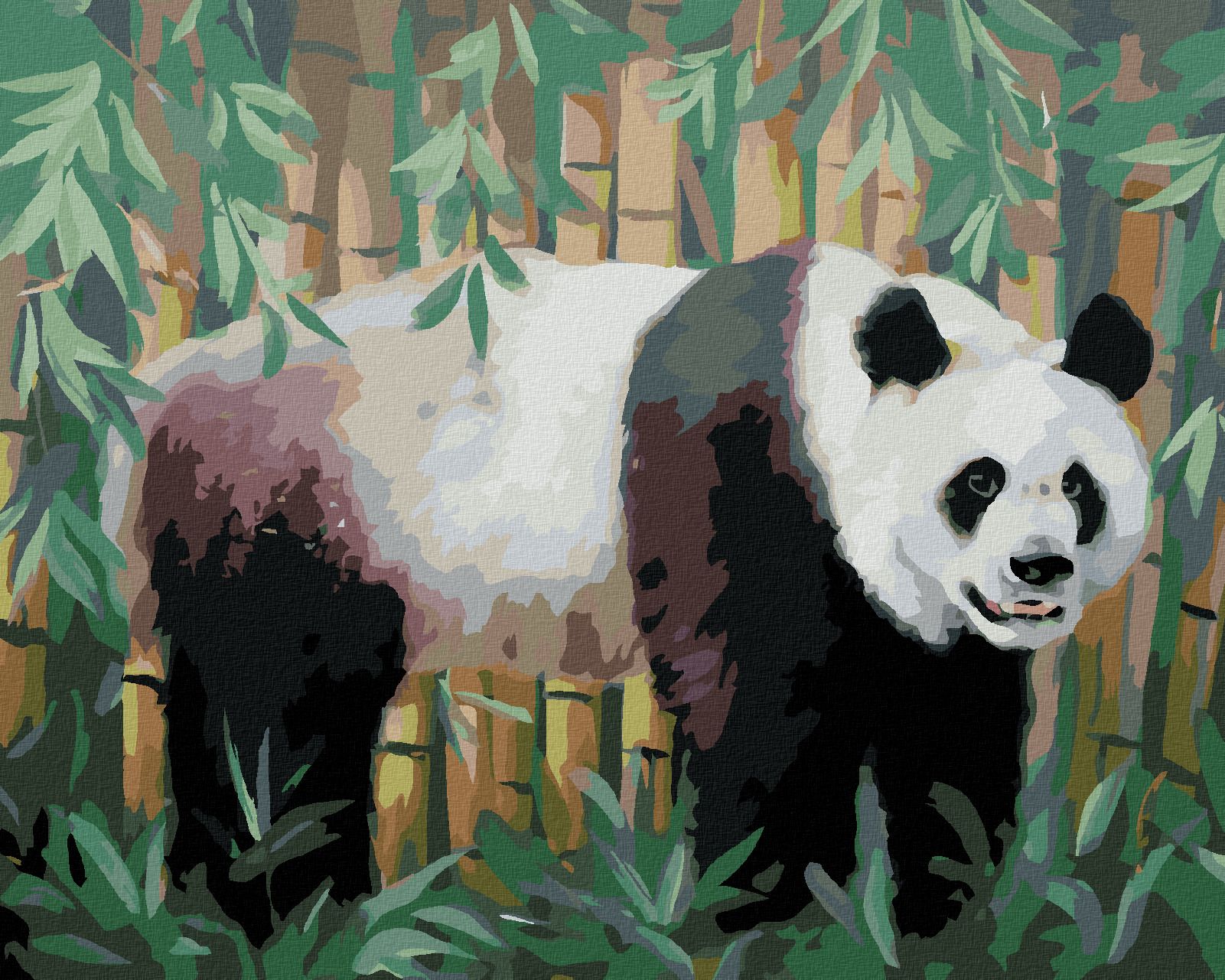 zuty Malování podle čísel - PANDA A BAMBUS (D. RUSTY RUST) - Rozměr: 40x50 cm, Rámování: Varianta: bez rámu a bez vypnutí plátna - obrázek 1