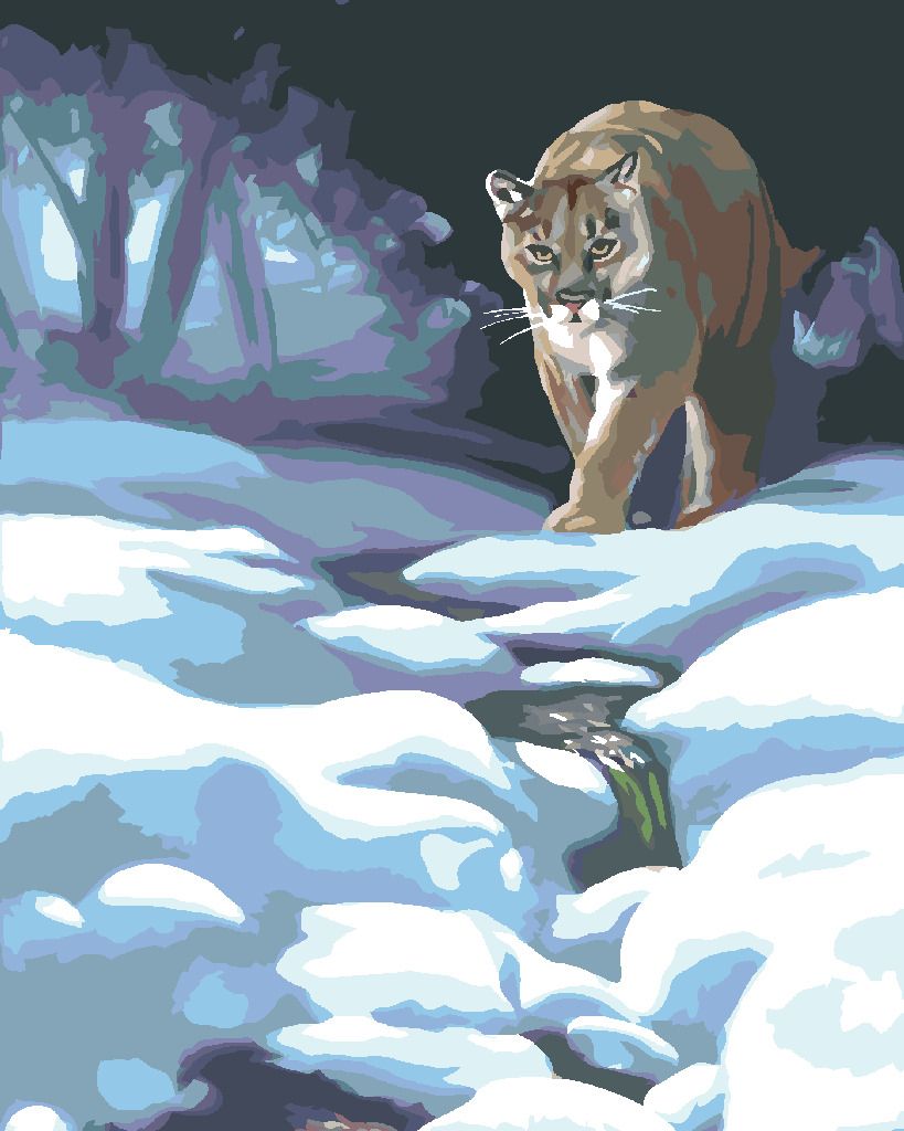 zuty Malování podle čísel - PUMA VE SNĚHU (D. RUSTY RUST) - Rozměr: 40x50 cm, Rámování: Varianta: vypnuté plátno na rám - obrázek 10