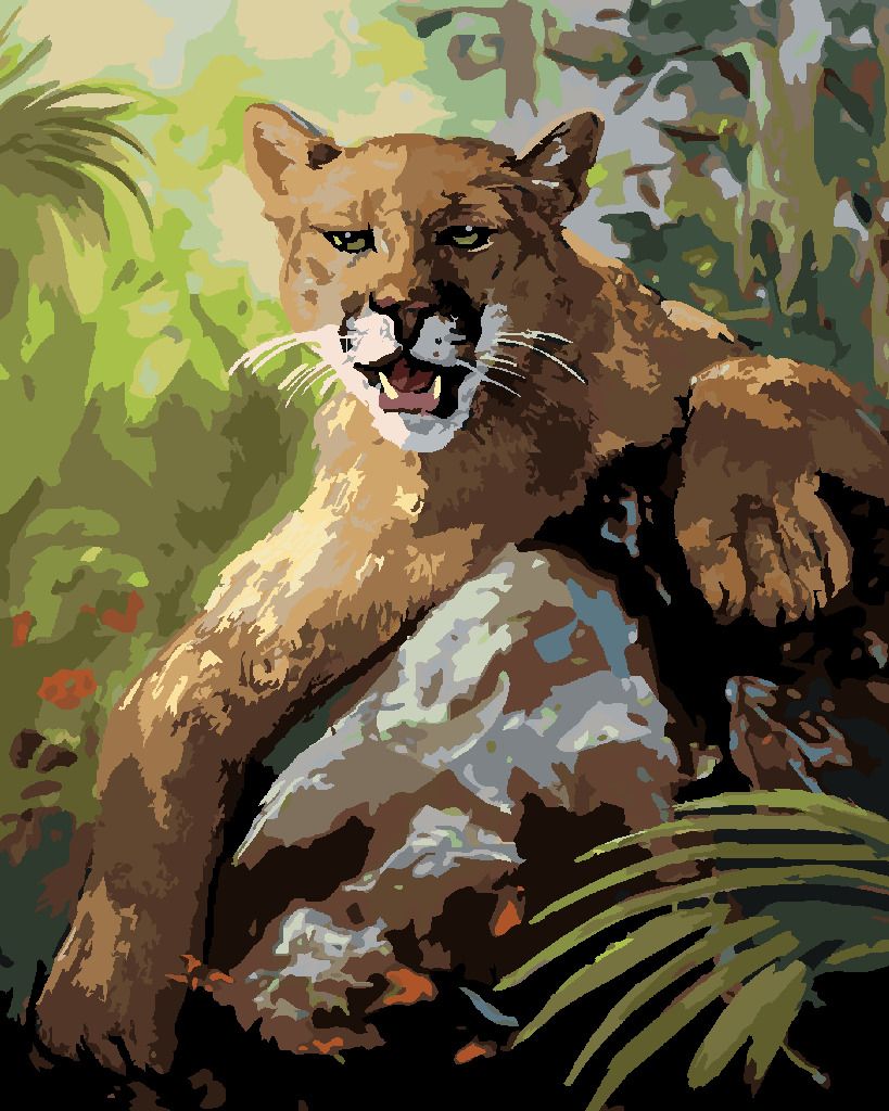 zuty Malování podle čísel - PUMA LEŽÍCÍ NA KAMENI (D. RUSTY RUST) - Rozměr: 40x50 cm, Rámování: Varianta: bez rámu a bez vypnutí plátna - obrázek 2