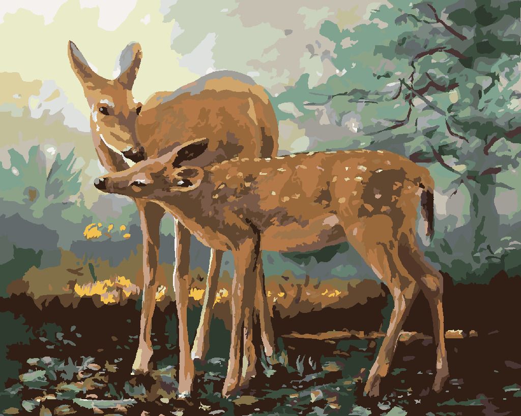 zuty Malování podle čísel - SRNA A KOLOUCH (D. RUSTY RUST) - Rozměr: 40x50 cm, Rámování: Varianta: vypnuté plátno na rám - obrázek 7