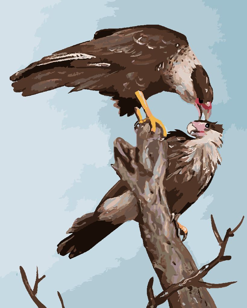 zuty Malování podle čísel - SUP NA STROMĚ (D. RUSTY RUST) - Rozměr: 40x50 cm, Rámování: Varianta: vypnuté plátno na rám - obrázek 8