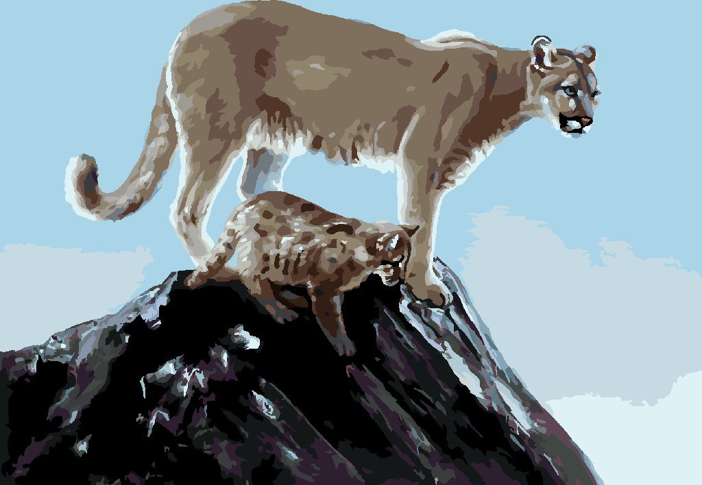 zuty Malování podle čísel - PUMA S MLÁDĚTEM (D. RUSTY RUST) - Rozměr: 40x50 cm, Rámování: Varianta: vypnuté plátno na rám - obrázek 5