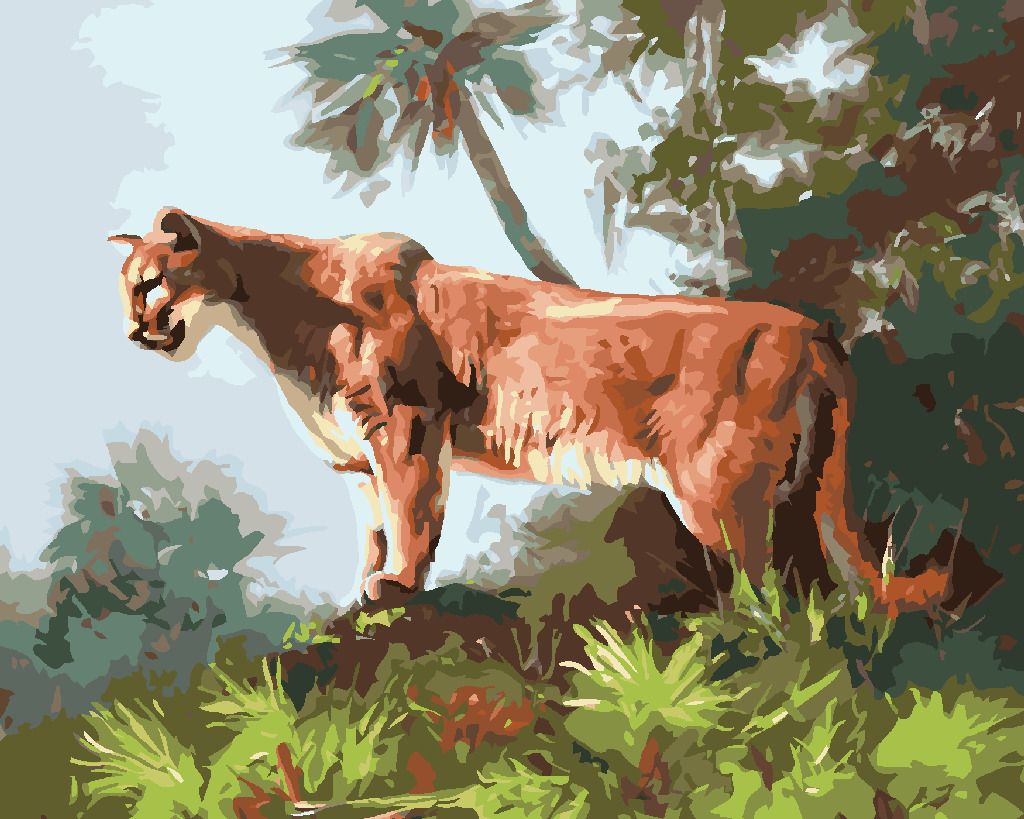 zuty Malování podle čísel - PUMA V DŽUNGLI (D. RUSTY RUST) - Rozměr: 40x50 cm, Rámování: Varianta: vypnuté plátno na rám - obrázek 8
