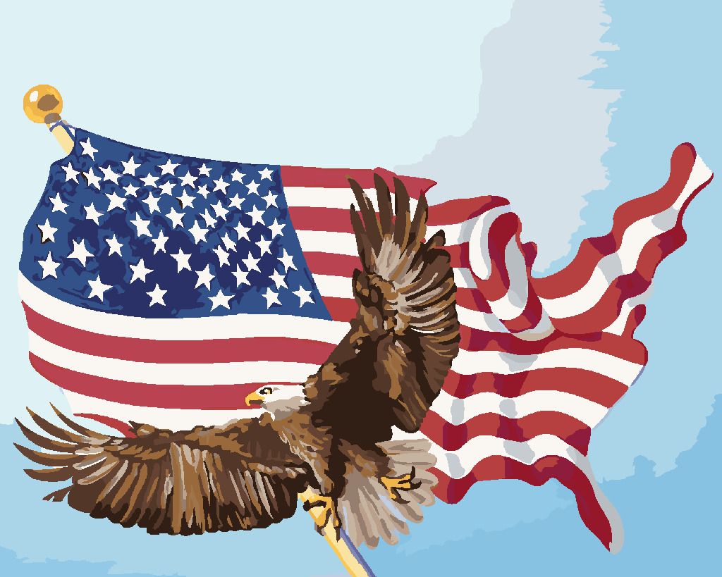 zuty Malování podle čísel - OREL NA STOŽÁRU VLAJKY USA (D. RUSTY RUST) - Rozměr: 40x50 cm, Rámování: Varianta: vypnuté plátno na rám - obrázek 4