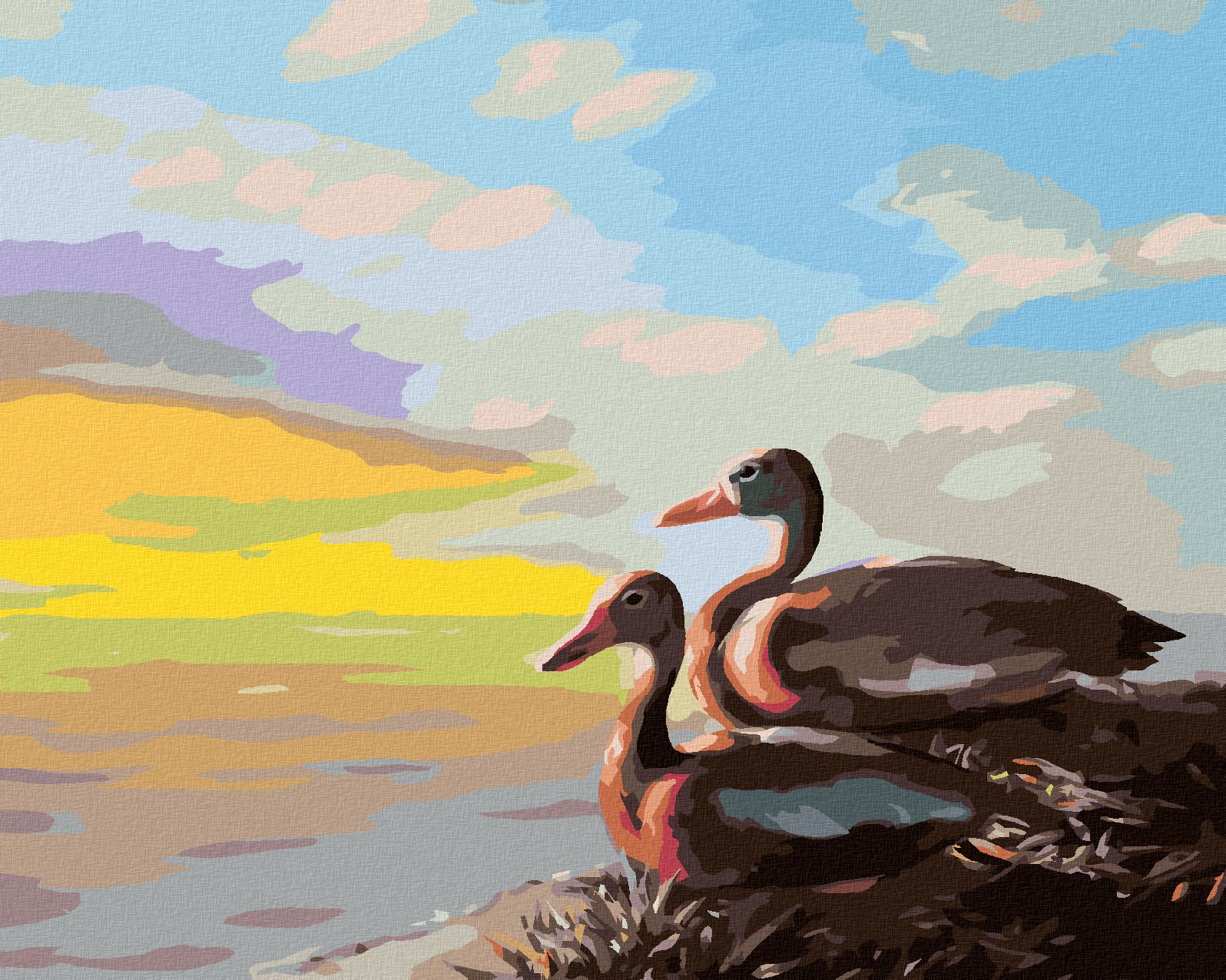 zuty Malování podle čísel - KACHNY (D. RUSTY RUST) - Rozměr: 40x50 cm, Rámování: Varianta: vypnuté plátno na rám - obrázek 1