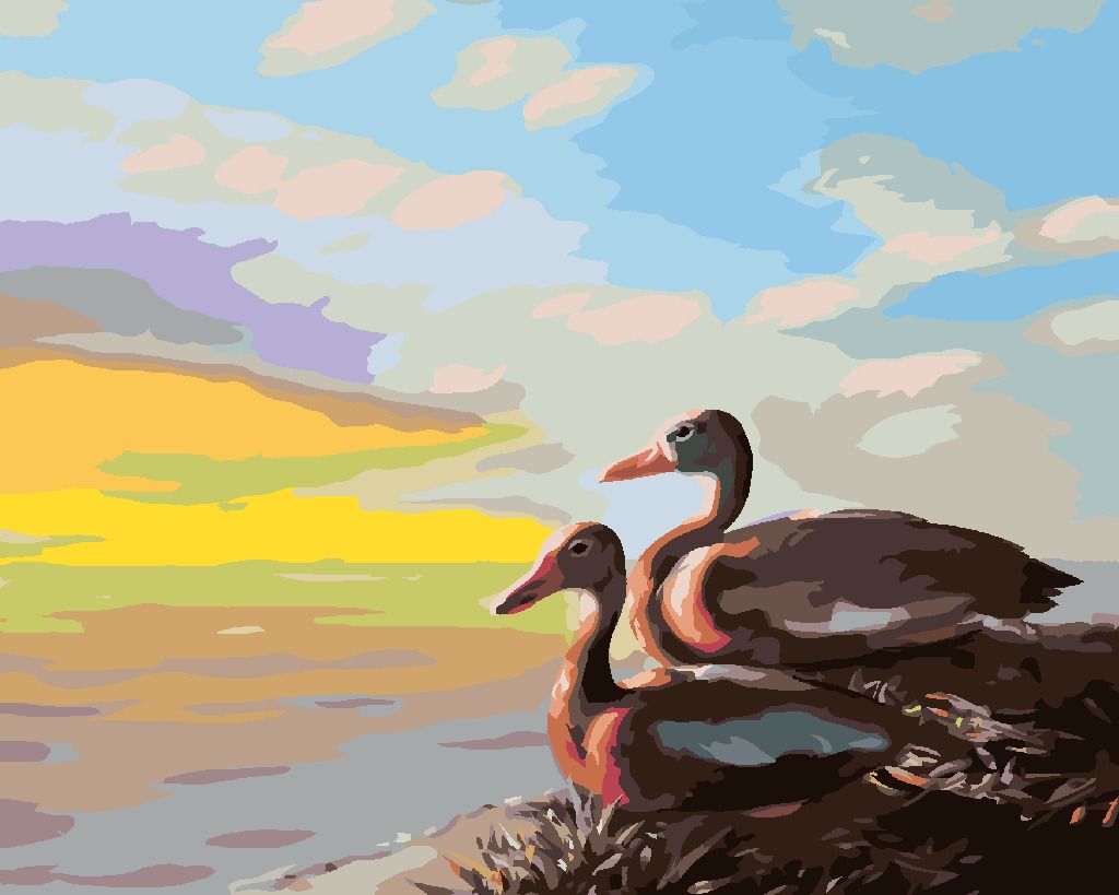 zuty Malování podle čísel - KACHNY (D. RUSTY RUST) - Rozměr: 40x50 cm, Rámování: Varianta: vypnuté plátno na rám - obrázek 7