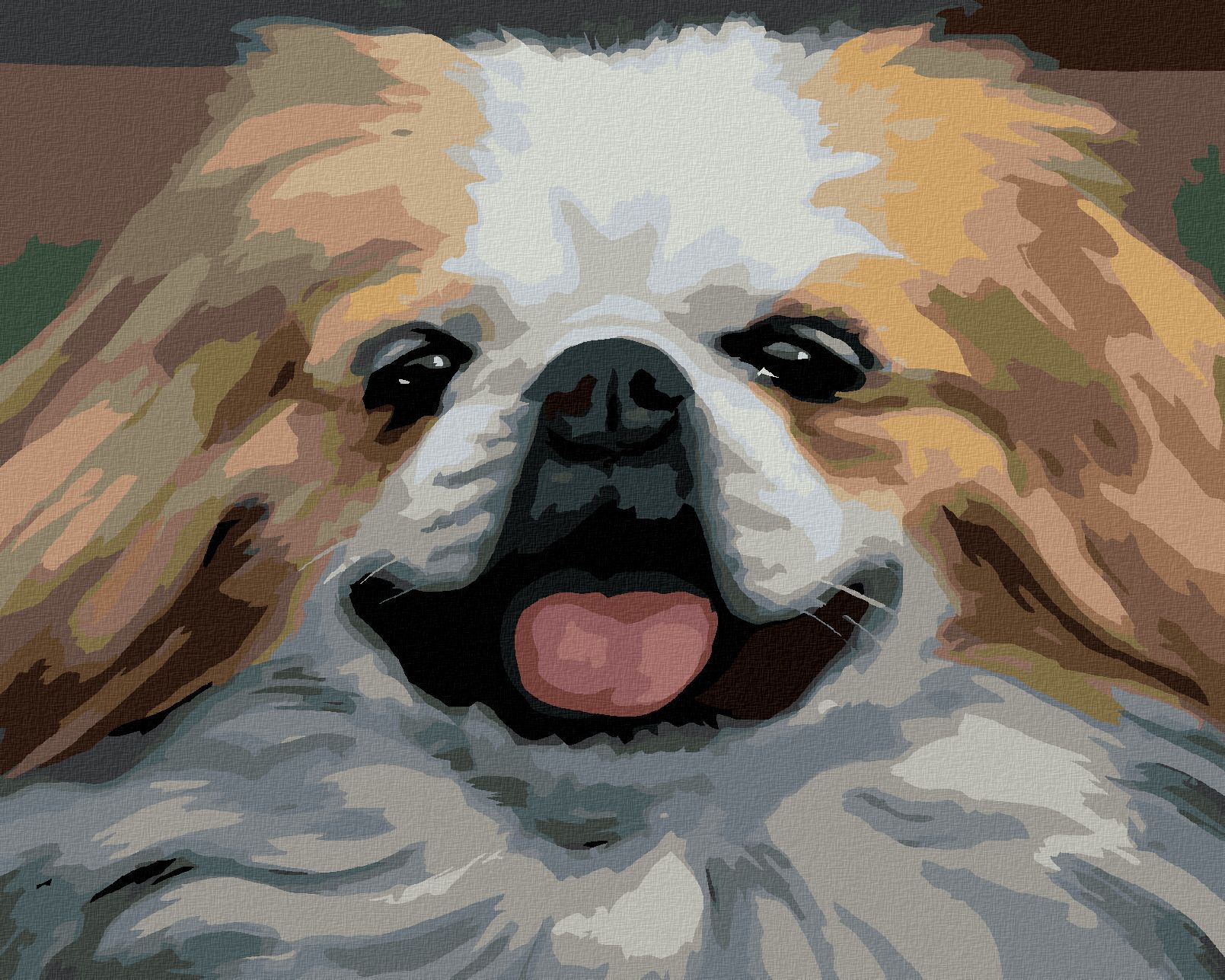 zuty Malování podle čísel - PES - PORTRÉT (D. RUSTY RUST) - Rozměr: 40x50 cm, Rámování: Varianta: vypnuté plátno na rám - obrázek 1