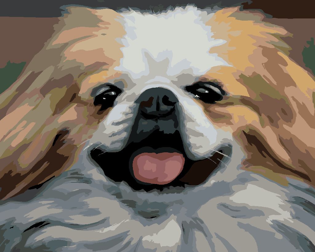 zuty Malování podle čísel - PES - PORTRÉT (D. RUSTY RUST) - Rozměr: 40x50 cm, Rámování: Varianta: vypnuté plátno na rám - obrázek 5