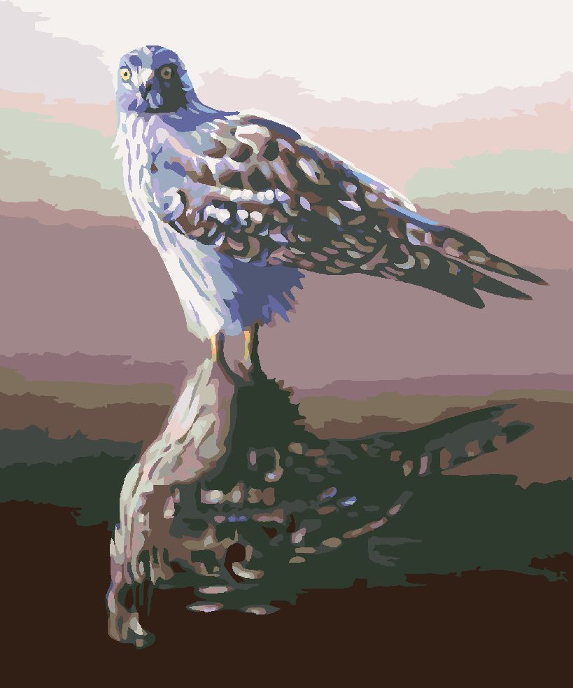 zuty Malování podle čísel - JESTŘÁB V ODRAZU (D. RUSTY RUST) - Rozměr: 40x50 cm, Rámování: Varianta: bez rámu a bez vypnutí plátna - obrázek 9