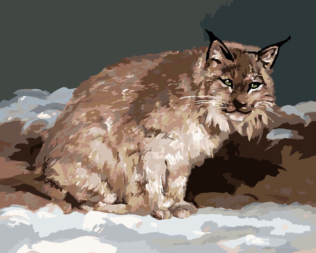 zuty Malování podle čísel - RYS V ZIMĚ (D. RUSTY RUST) - Rozměr: 40x50 cm, Rámování: Varianta: bez rámu a bez vypnutí plátna - obrázek 9