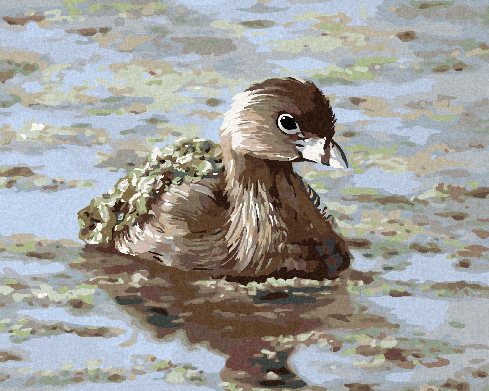 zuty Malování podle čísel - POTÁPKA (D. RUSTY RUST) - Rozměr: 40x50 cm, Rámování: Varianta: bez rámu a bez vypnutí plátna - obrázek 1