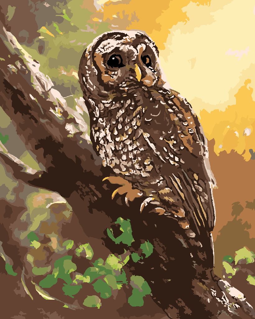 zuty Malování podle čísel - SOVA NA STROMĚ (D. RUSTY RUST) - Rozměr: 40x50 cm, Rámování: Varianta: bez rámu a bez vypnutí plátna - obrázek 7
