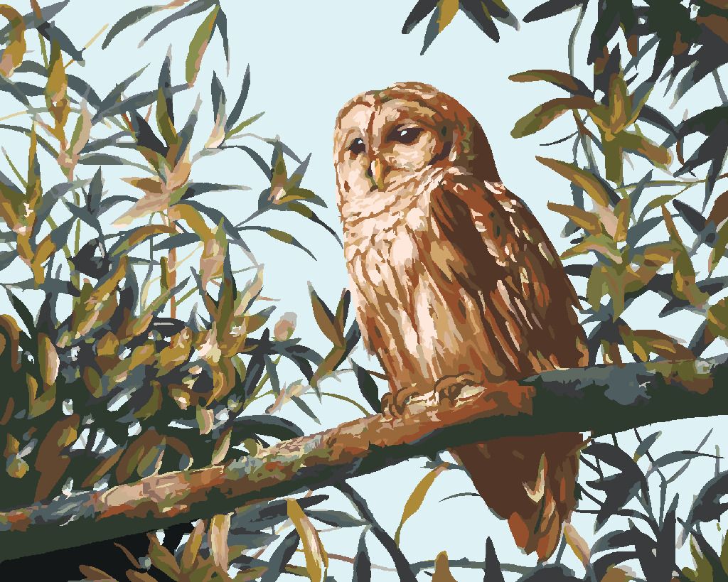 zuty Malování podle čísel - SOVA NA VĚTVI A LISTY (D. RUSTY RUST) - Rozměr: 40x50 cm, Rámování: Varianta: bez rámu a bez vypnutí plátna - obrázek 9