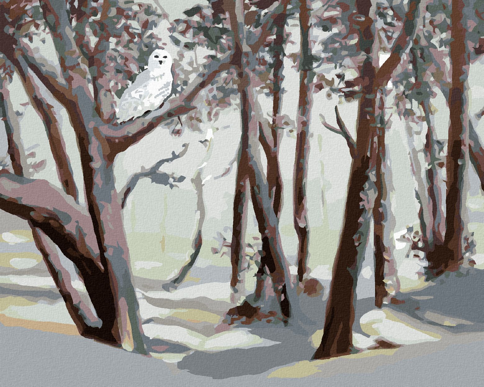 zuty Malování podle čísel - SNĚŽNÁ SOVA A LES V ZIMĚ (D. RUSTY RUST) - Rozměr: 40x50 cm, Rámování: Varianta: vypnuté plátno na rám - obrázek 1