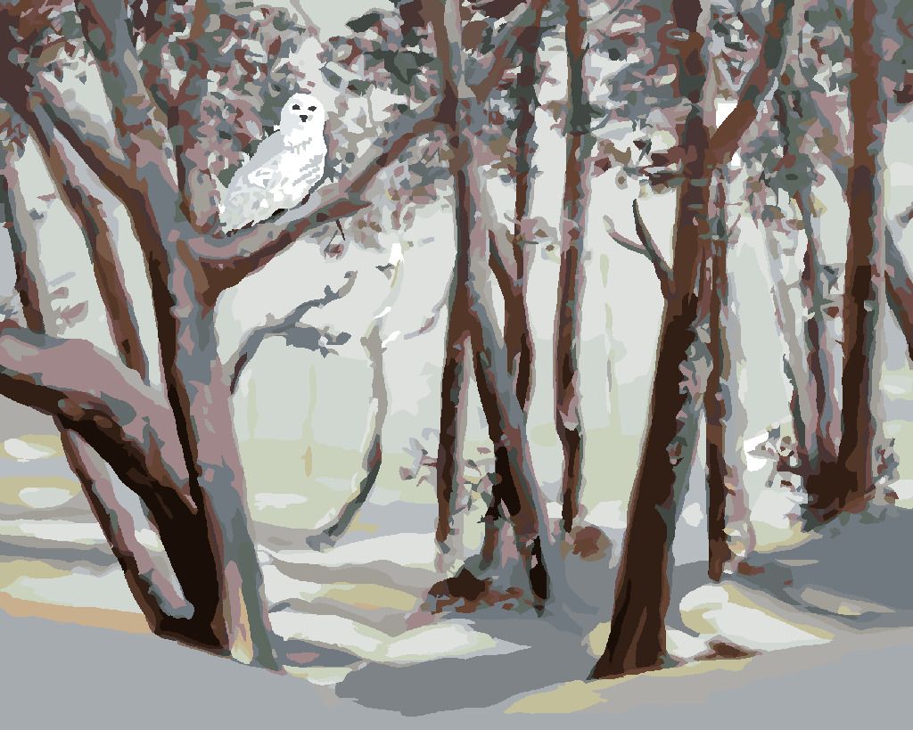 zuty Malování podle čísel - SNĚŽNÁ SOVA A LES V ZIMĚ (D. RUSTY RUST) - Rozměr: 40x50 cm, Rámování: Varianta: vypnuté plátno na rám - obrázek 4
