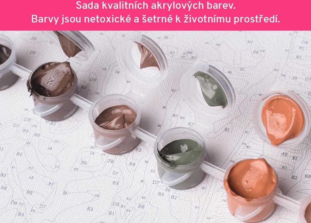 zuty Malování podle čísel - DŮM S ALTÁNEM A ZÁPAD SLUNCE (D. RUSTY RUST) - Rozměr: 40x50 cm, Rámování: Varianta: vypnuté plátno na rám - obrázek 8