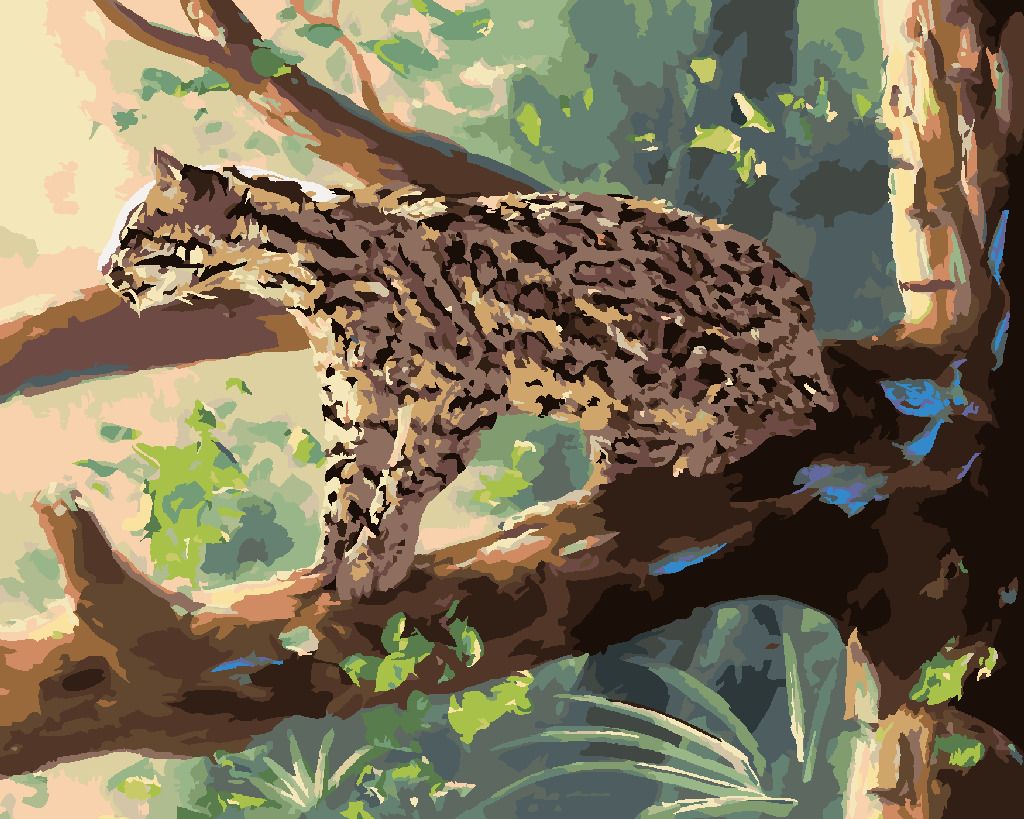 zuty Malování podle čísel - OCELOT SEDÍCÍ NA VĚTVI (D. RUSTY RUST) - Rozměr: 40x50 cm, Rámování: Varianta: bez rámu a bez vypnutí plátna - obrázek 6