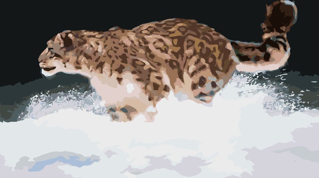 zuty Malování podle čísel - SNĚŽNÝ LEOPARD V BĚHU VE SNĚHU (D. RUSTY RUST) - Rozměr: 40x50 cm, Rámování: Varianta: vypnuté plátno na rám - obrázek 6