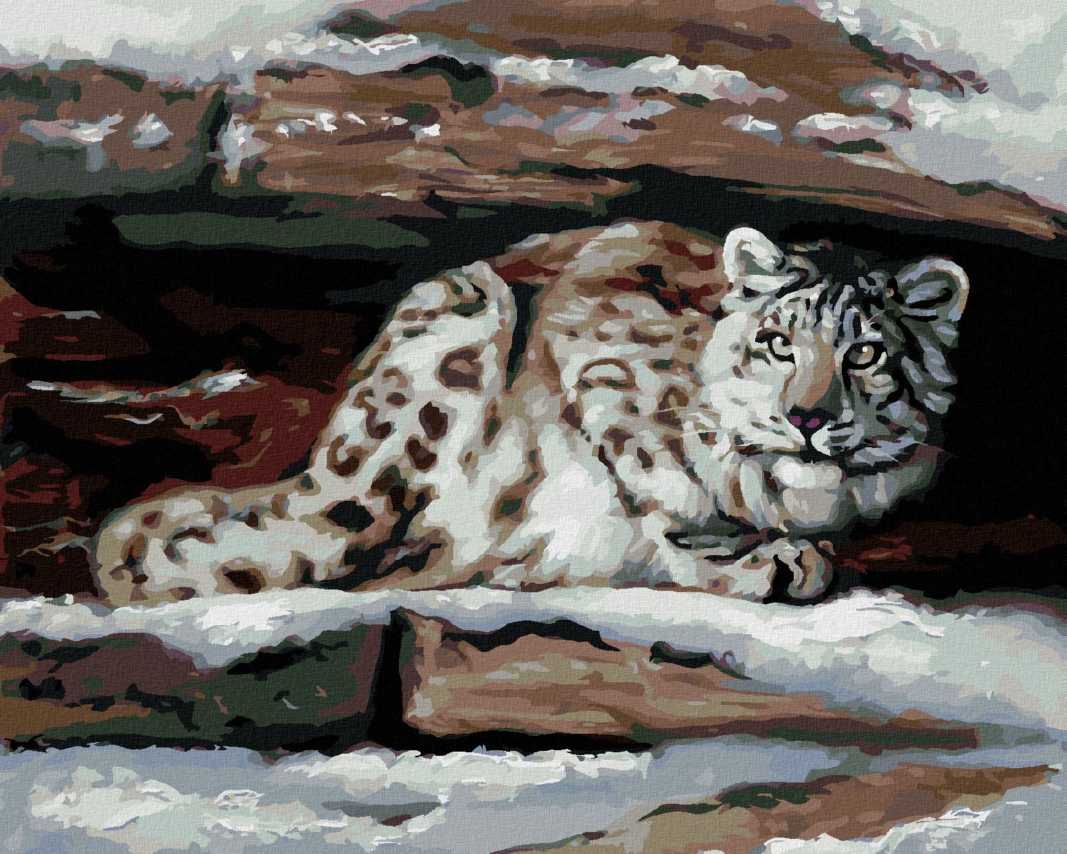 zuty Malování podle čísel - SNĚŽNÝ LEOPARD V ÚKRYTU (D. RUSTY RUST) - Rozměr: 40x50 cm, Rámování: Varianta: vypnuté plátno na rám - obrázek 1