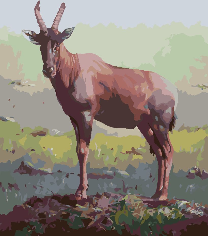 zuty Malování podle čísel - ANTILOPA V TRÁVĚ (D. RUSTY RUST) - Rozměr: 40x50 cm, Rámování: Varianta: bez rámu a bez vypnutí plátna - obrázek 2