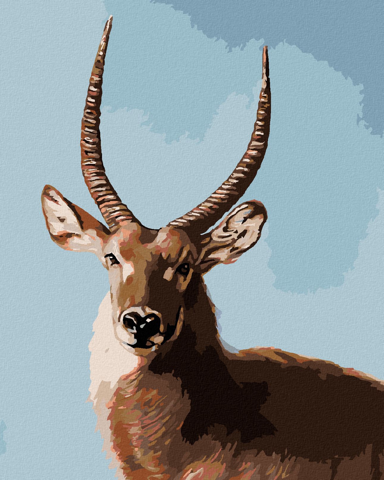 zuty Malování podle čísel - ANTILOPA PORTRÉT (D. RUSTY RUST) - Rozměr: 40x50 cm, Rámování: Varianta: vypnuté plátno na rám - obrázek 1