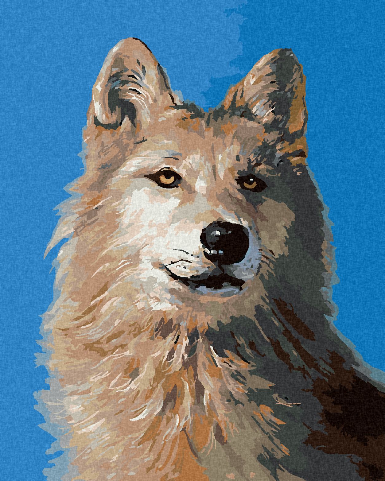 zuty Malování podle čísel - VLK PORTRÉT I (D. RUSTY RUST) - Rozměr: 40x50 cm, Rámování: Varianta: bez rámu a bez vypnutí plátna - obrázek 1