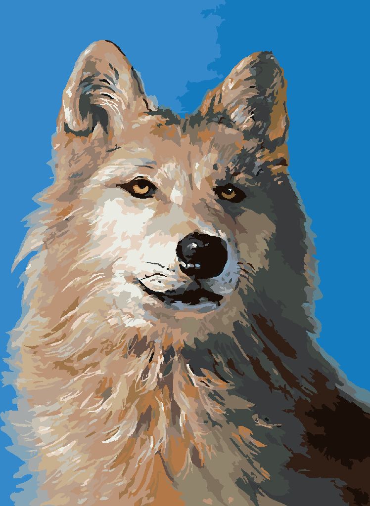 zuty Malování podle čísel - VLK PORTRÉT I (D. RUSTY RUST) - Rozměr: 40x50 cm, Rámování: Varianta: bez rámu a bez vypnutí plátna - obrázek 10