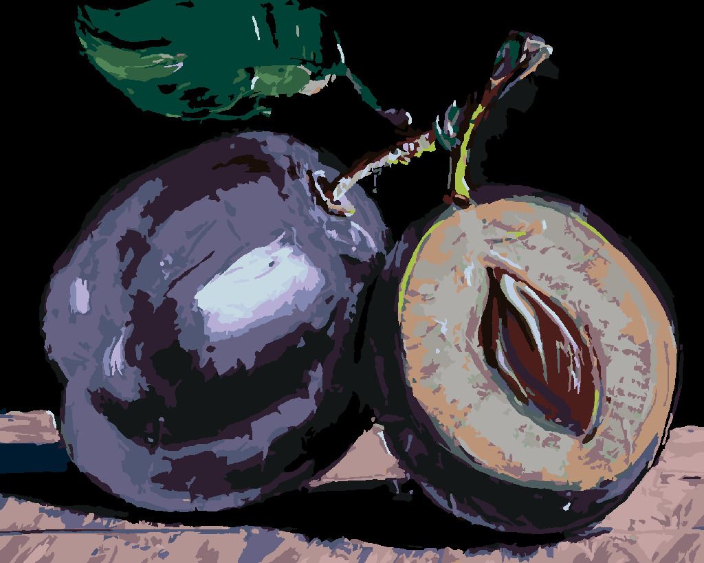 zuty Malování podle čísel - ŠVESTKY - Rozměr: 40x50 cm, Rámování: Varianta: bez rámu a bez vypnutí plátna - obrázek 10